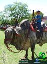 20-10-2013_cavalgada_urai_376.jpg