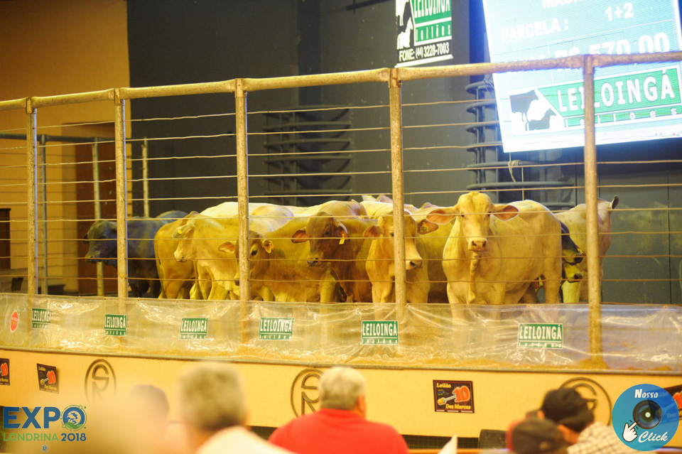 06-04-2018_ExpoLondrina_16_Leilao_Dez_Marcas_06.jpg