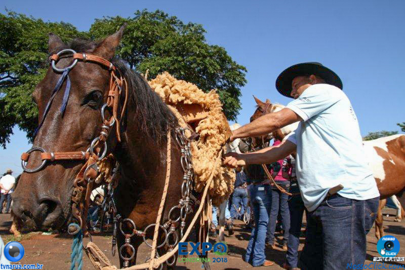 11-03-2018_Cavalgada_Expo_Londrina_092.jpg