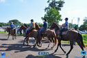 11-03-2018_Cavalgada_Expo_Londrina_018.jpg
