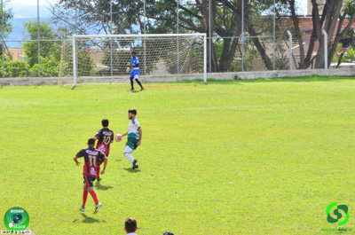 Filename=DSC_0906.jpg
Filesize=393KiB
Dimensions=960x636
Date added=Jul 14, 2025 DSC_0906.jpg