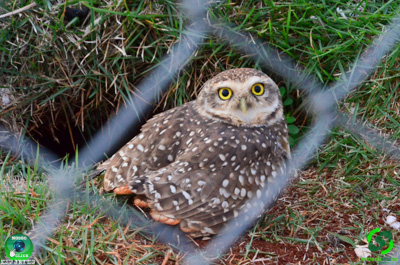 Filename=DSC_1052.jpg
Filesize=403KiB
Dimensions=960x636
Date added=Jul 14, 2025 DSC_1052.jpg