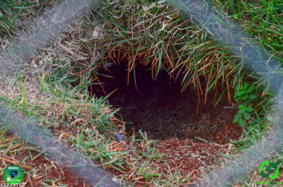 Filename=DSC_1053.jpg
Filesize=424KiB
Dimensions=960x636
Date added=Jul 14, 2025 DSC_1053.jpg