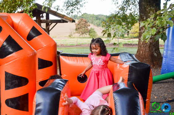 Filename=DSC_1950.jpg
Filesize=358KiB
Dimensions=960x636
Date added=Jul 21, 2025 DSC_1950.jpg