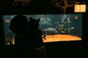 Aquario-214.jpg