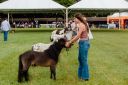 XXICampeonatoNacionaldeMiniHorse-66.jpg
