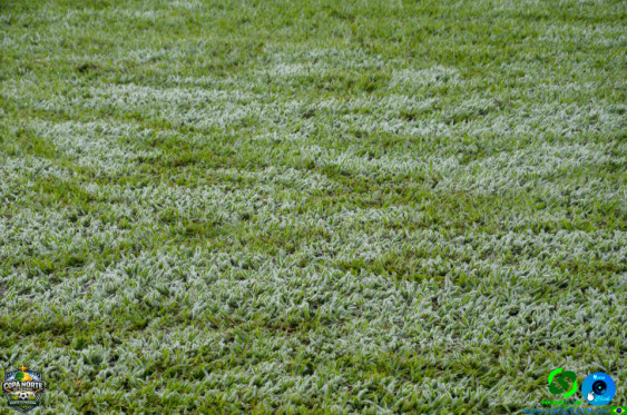  em Cornelio Procopio - Copa Norte de Futebol Cornelio 3x1 Sertaneja - Foto 15