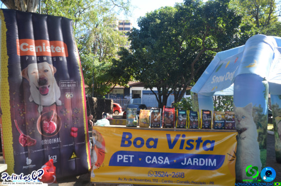 19/07/26 em Cornelio Procopio - Pet Julina - Foto 1
