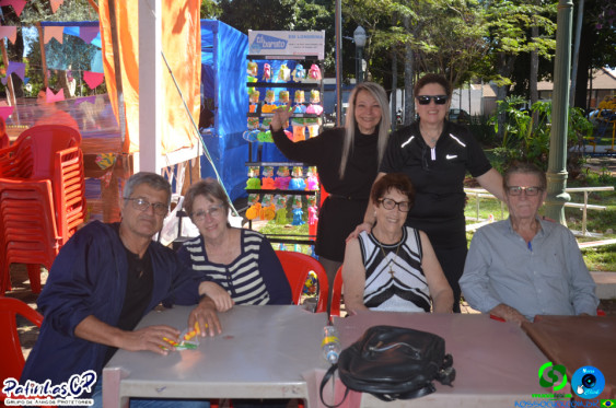 19/07/26 em Cornelio Procopio - Pet Julina - Foto 3