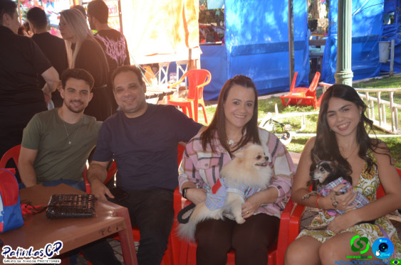 19/07/26 em Cornelio Procopio - Pet Julina - Foto 6