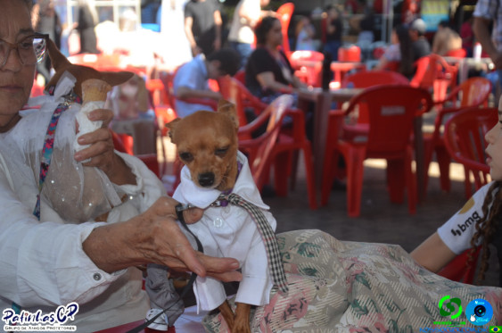 19/07/26 em Cornelio Procopio - Pet Julina - Foto 16