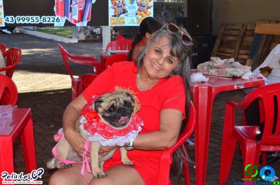 19/07/26 em Cornelio Procopio - Pet Julina - Foto 62