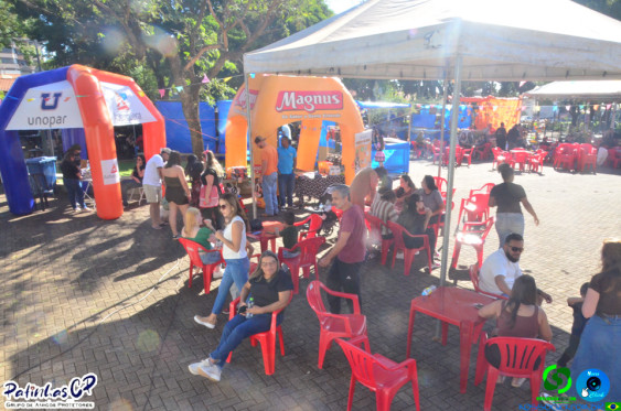 19/07/26 em Cornelio Procopio - Pet Julina - Foto 75