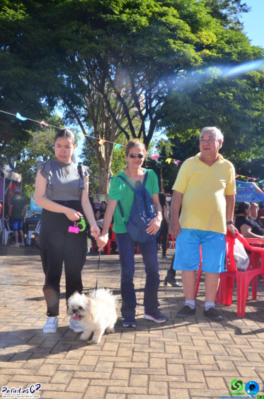 19/07/26 em Cornelio Procopio - Pet Julina - Foto 80