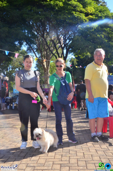 19/07/26 em Cornelio Procopio - Pet Julina - Foto 81