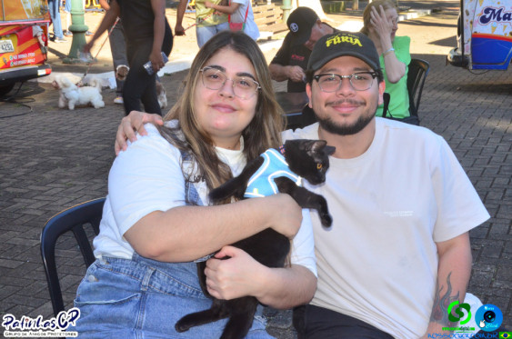 19/07/26 em Cornelio Procopio - Pet Julina - Foto 117