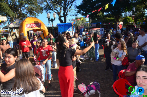 19/07/26 em Cornelio Procopio - Pet Julina - Foto 161