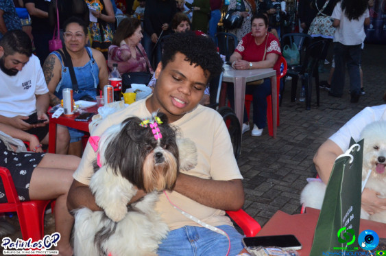 19/07/26 em Cornelio Procopio - Pet Julina - Foto 354