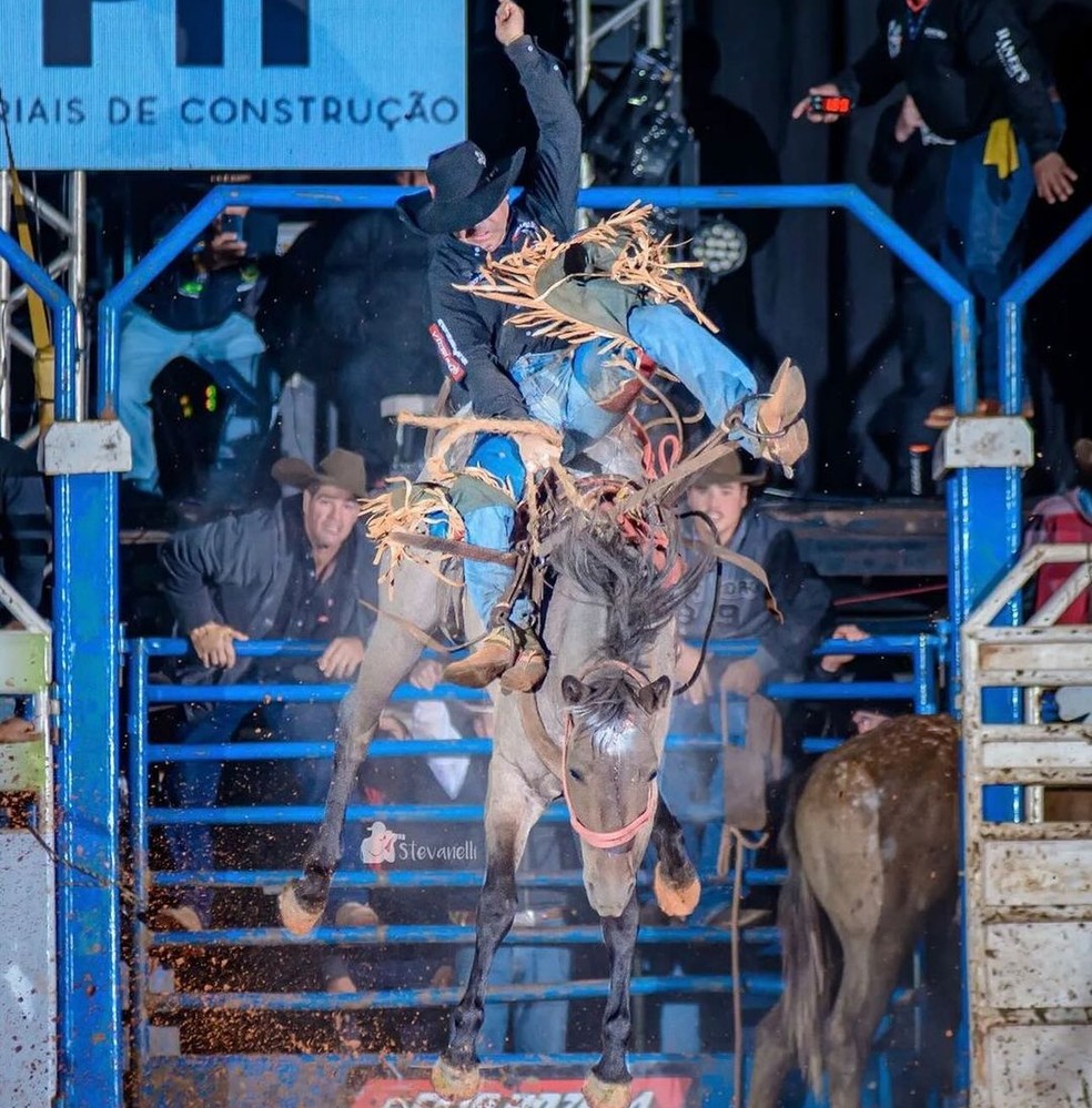 Égua 'lenda' de rodeios pelo Brasil morre após suposta picada de cobra em MT