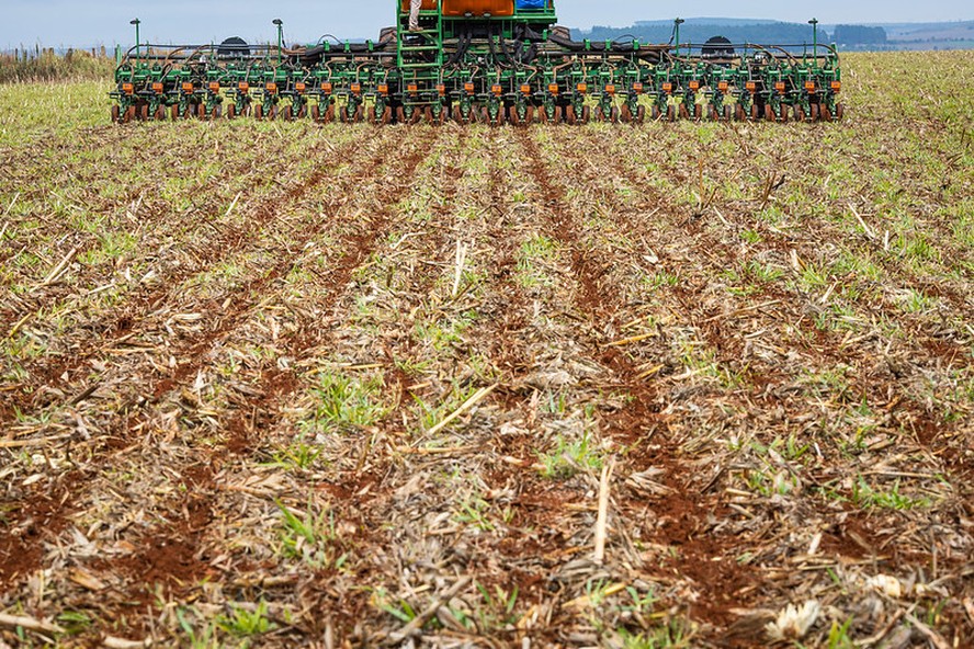 Plano Safra 24/25: tamanho do corte de juros é a dúvida do setor agropecuário