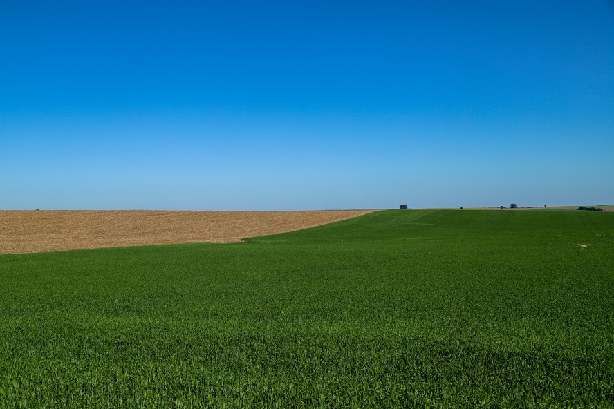 Plano Safra 24/25: tamanho do corte de juros é a dúvida do setor agropecuário